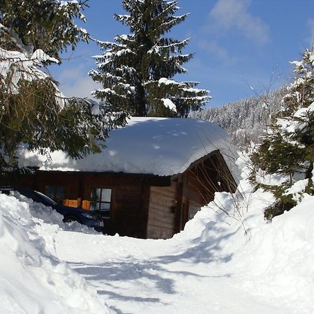 Chalets Ebner Eben Im Pongau Exteriör bild
